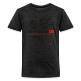 Kids' Premium T-Shirt - charcoal grey